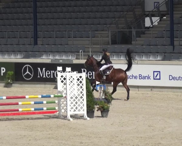 Reitturnier Aachen 2020