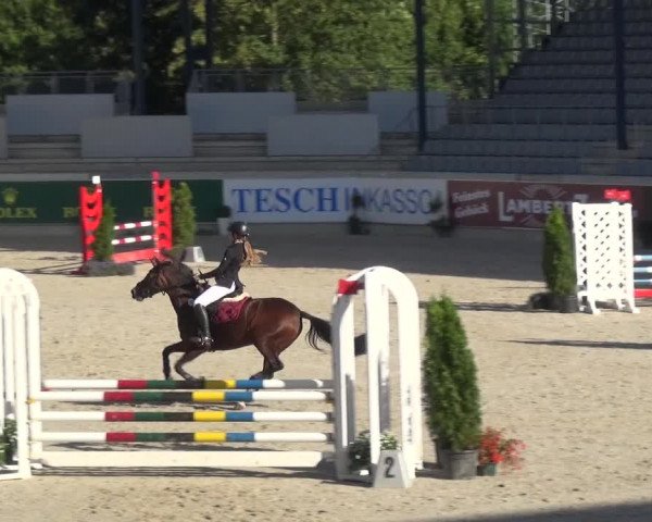 Reitturnier Aachen 2020