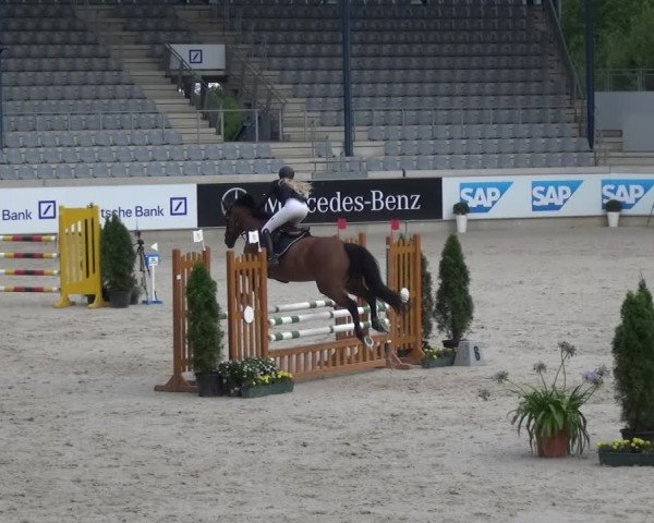 Reitturnier Aachen 2020