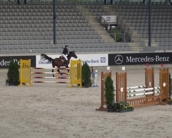 Reitturnier Aachen 2020