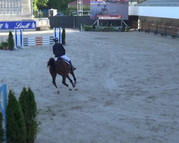 Reitturnier Aachen 2020