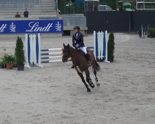 Reitturnier Aachen 2020