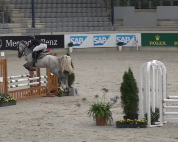 Reitturnier Aachen 2020