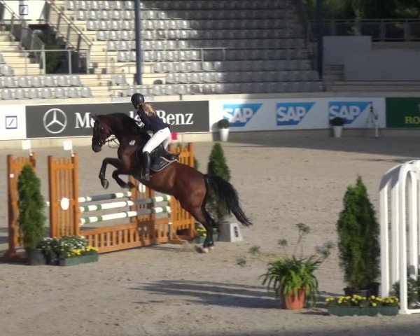 Reitturnier Aachen 2020