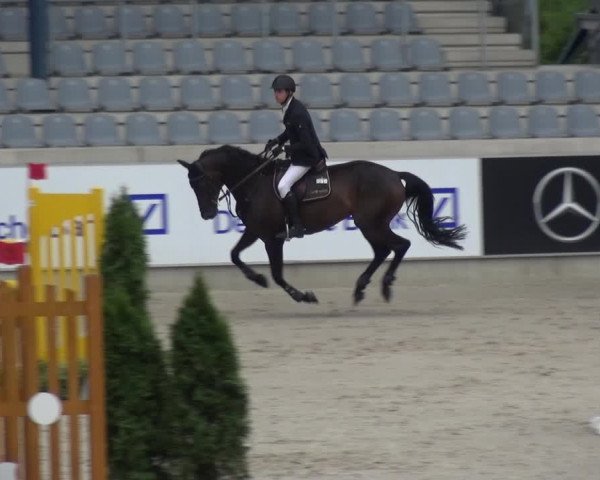 Reitturnier Aachen 2020
