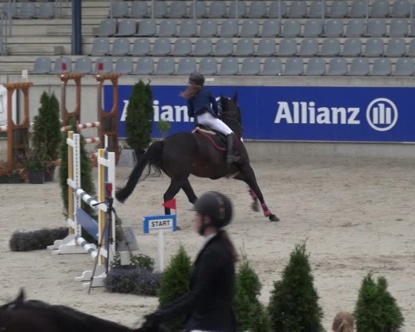 Reitturnier Aachen 2020