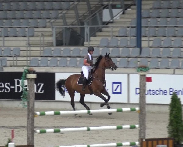 Reitturnier Aachen 2020