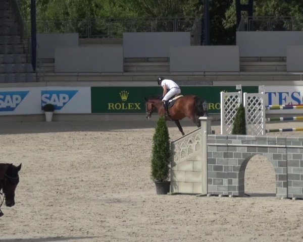 Reitturnier Aachen 2020