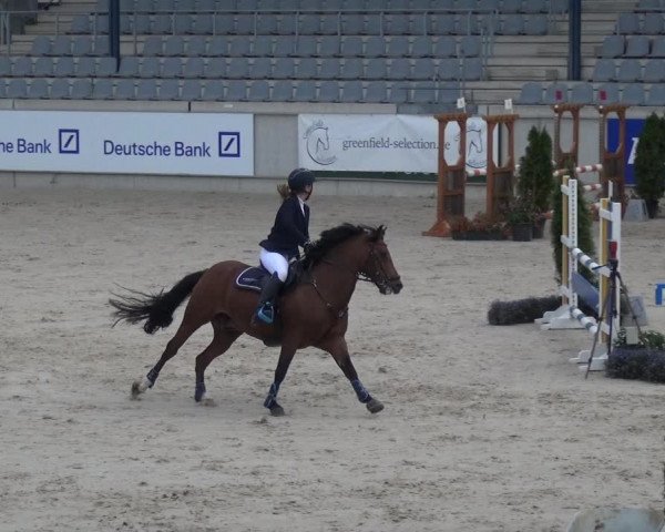 Reitturnier Aachen 2020