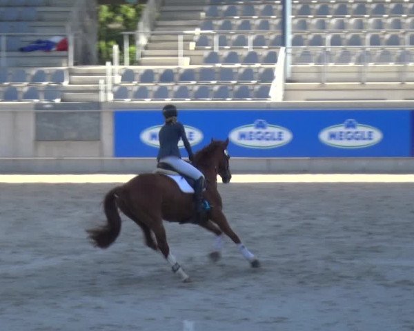 Reitturnier Aachen 2020