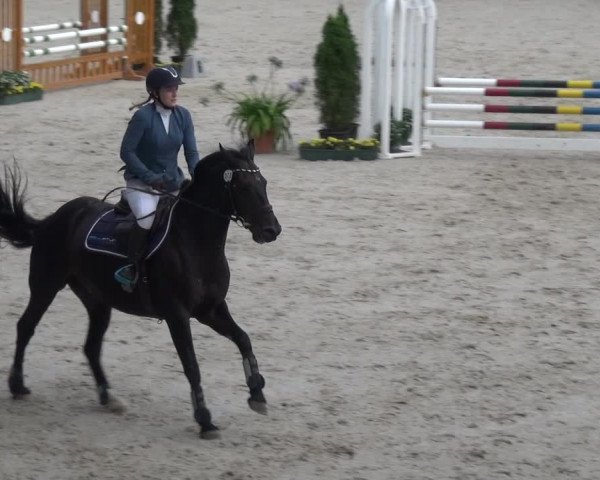 Reitturnier Aachen 2020