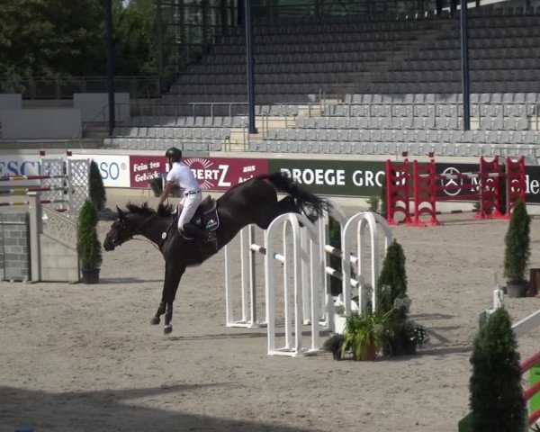 Reitturnier Aachen 2020