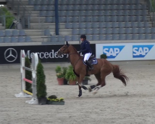 Reitturnier Aachen 2020