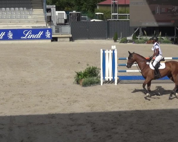 Reitturnier Aachen 2020
