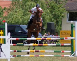 jumper Kyra 189 (Hanoverian, 2010, from Kolibri 2705)