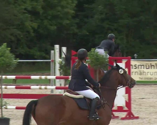 Reitturnier Ansbach/Mfr. 2020