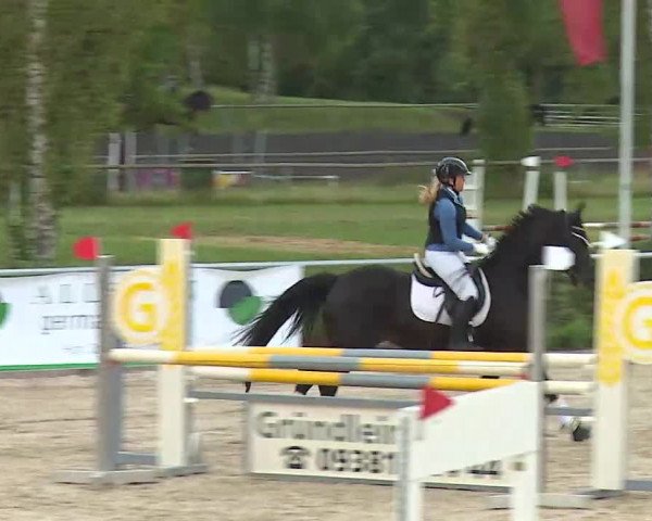 Reitturnier Ansbach/Mfr. 2020