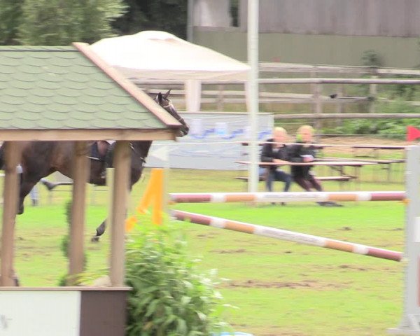 Reitturnier Hanerau-Hademarschen 2020