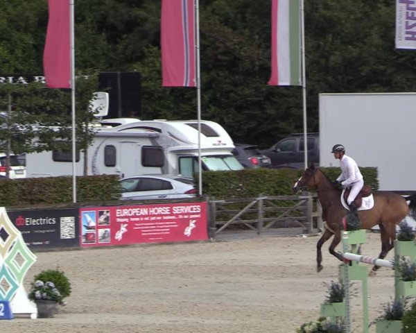 FEI Reitturnier Lier (BEL) 2020