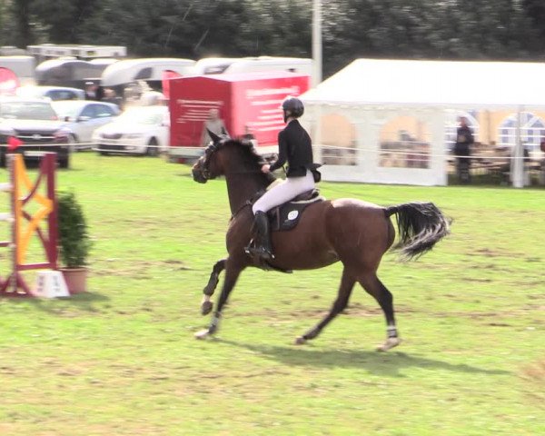 Reitturnier Hanerau-Hademarschen 2020