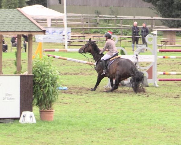 Reitturnier Hanerau-Hademarschen 2020