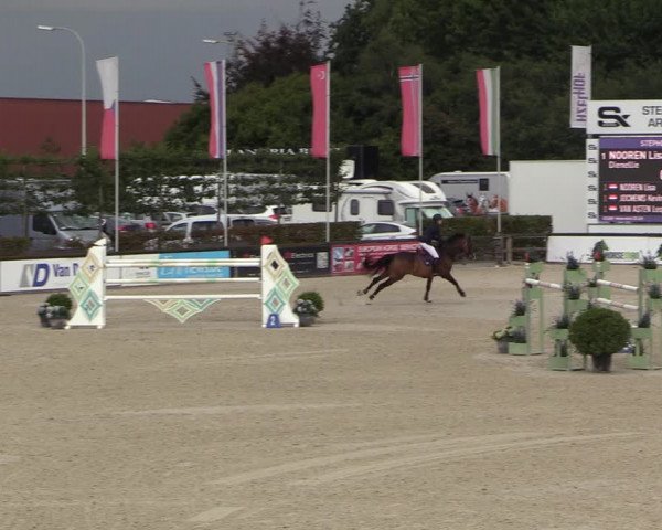FEI Reitturnier Lier (BEL) 2020