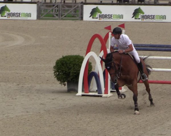 FEI Reitturnier Lier (BEL) 2020