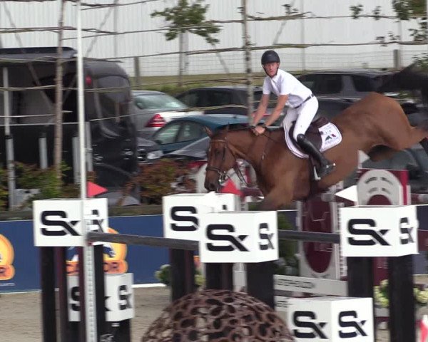 FEI Reitturnier Lier (BEL) 2020