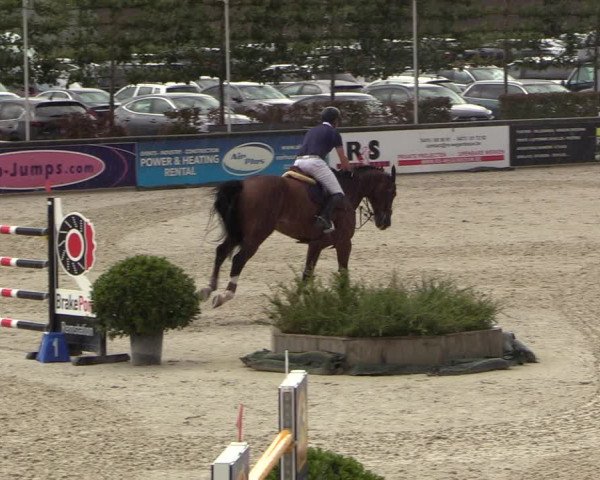 FEI Reitturnier Lier (BEL) 2020