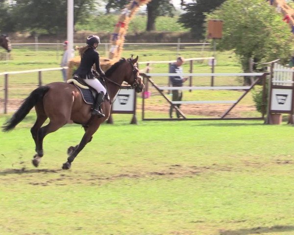 Reitturnier Hanerau-Hademarschen 2020