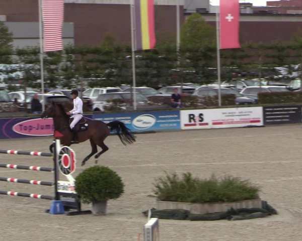 FEI Reitturnier Lier (BEL) 2020