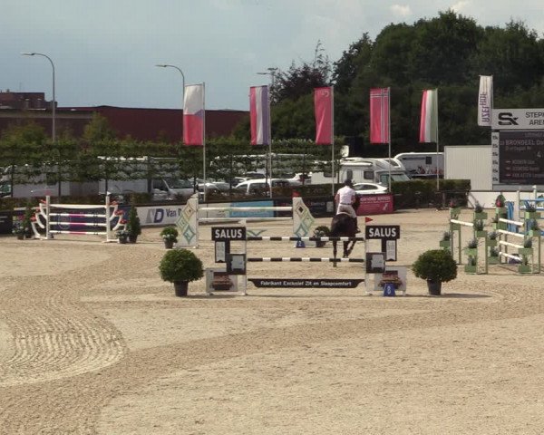 FEI Reitturnier Lier (BEL) 2020