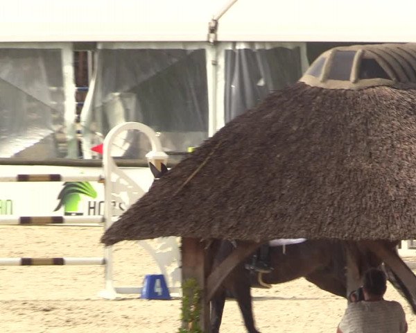 FEI Reitturnier Lier (BEL) 2020