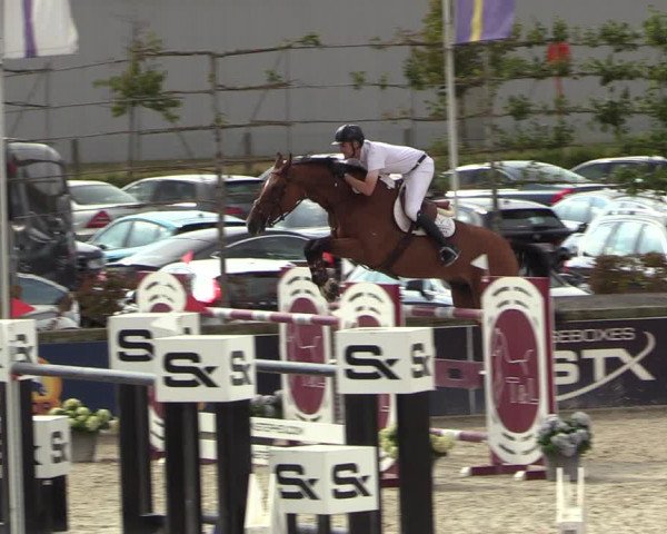 FEI Reitturnier Lier (BEL) 2020