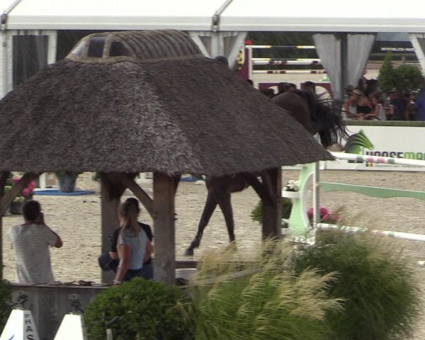 FEI Reitturnier Lier (BEL) 2020