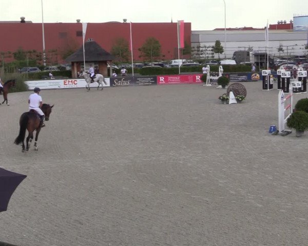 FEI Reitturnier Lier (BEL) 2020