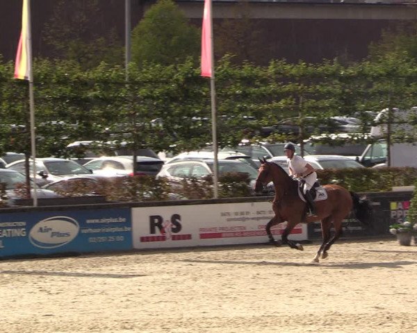 FEI Reitturnier Lier (BEL) 2020