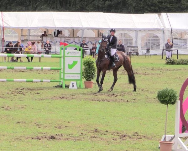 Reitturnier Hanerau-Hademarschen 2020