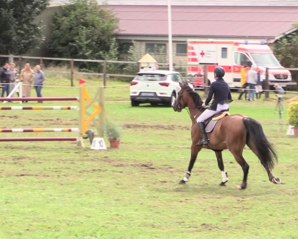 Reitturnier Hanerau-Hademarschen 2020