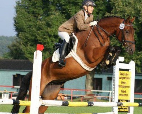 jumper Roqueta del Mar (Hanoverian, 1994, from Rickmer) jumper Roqueta del Mar (Hanoverian, 1994, from Rickmer)