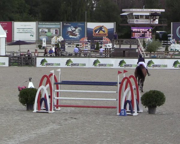 FEI Reitturnier Lier (BEL) 2020