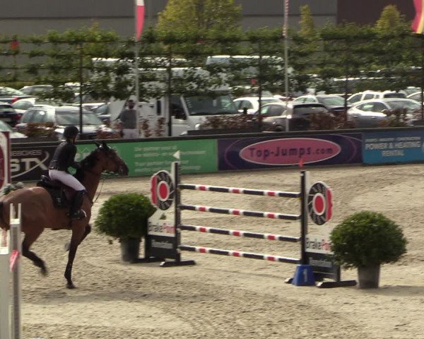FEI Reitturnier Lier (BEL) 2020