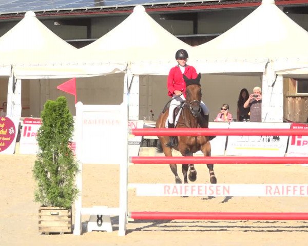 Reitturnier Balsthal 2020