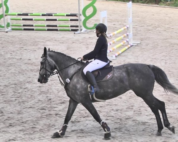Reitturnier Bübinger Hof 2020