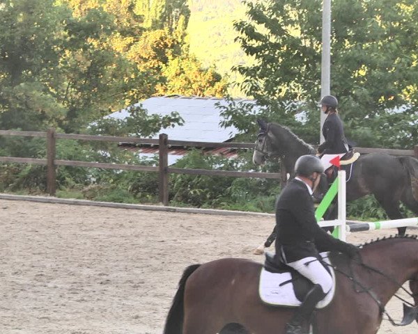 Reitturnier Bübinger Hof 2020