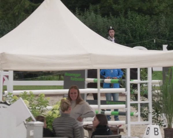 Reitturnier Öpfingen 2020