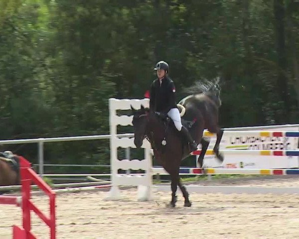 Reitturnier Ansbach/Mfr. 2020