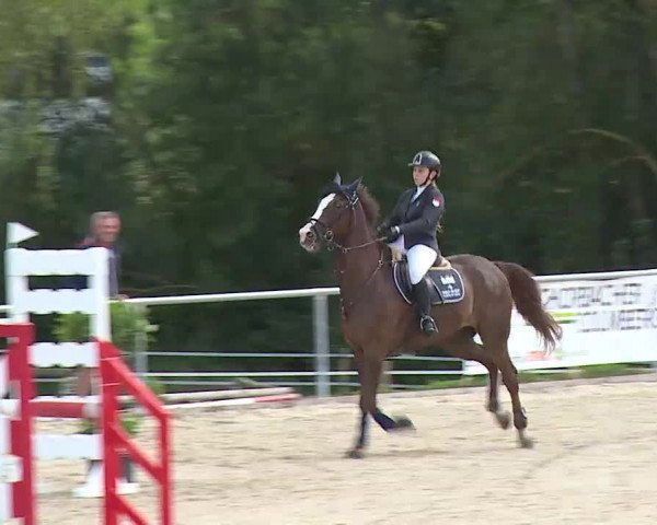Reitturnier Ansbach/Mfr. 2020