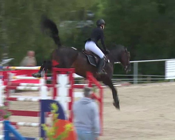 Reitturnier Ansbach/Mfr. 2020