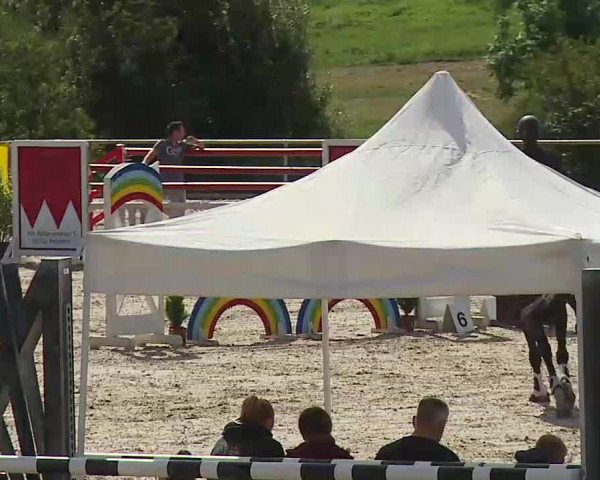 Reitturnier Ansbach/Mfr. 2020